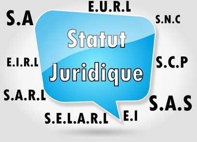 Choisir son statut juridique